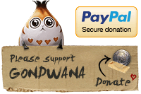 PayPal secure donation. Support Gondwana!